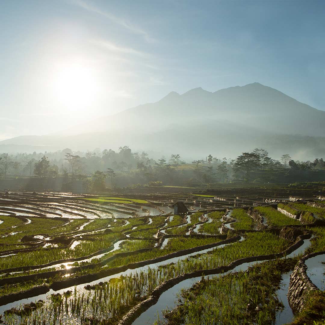 indonesia.jpg